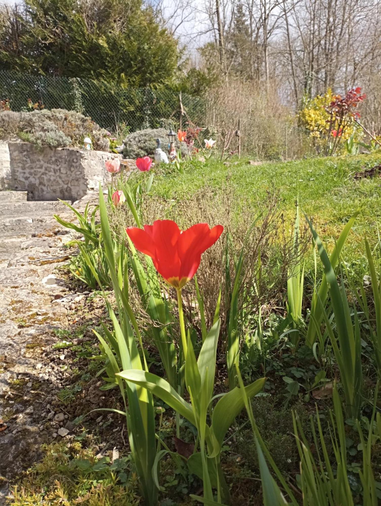 Gite L'Olivianne Crépy-en-Valois Exteriér fotografie